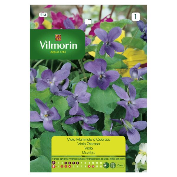 Semillas Vilmorin Flores Viola Olorosa