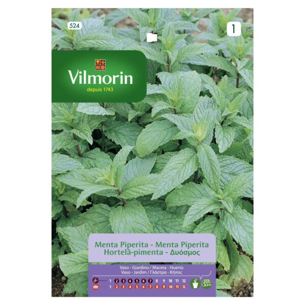 Semillas Vilmorin Menta Piperita