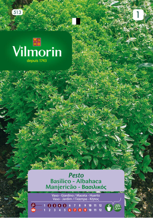 Semillas Vilmorin Albahaca Pesto