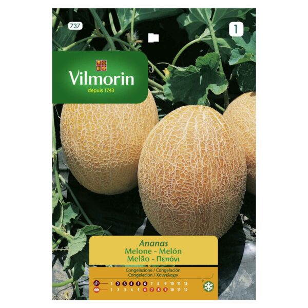 Semillas Vilmorin Melón Calameño