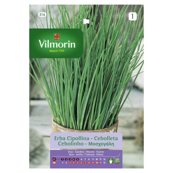 Semillas Vilmorin Ciboulette