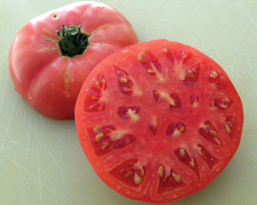 Tomate Antiguo N°34 - Herencia: Brandywine Sudduth Semilla Orgánica 5 un. -  La Mano Verde