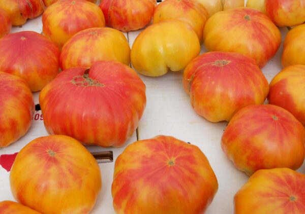 Tomate Antiguo N°28- Herencia: German Gold Strawberry Semilla Orgánica 15 un.