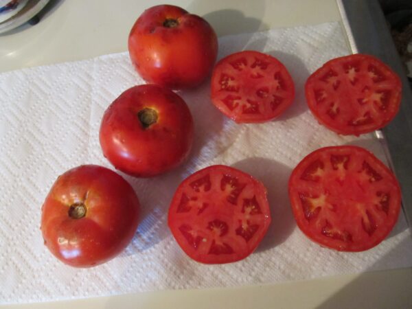 Tomate Antiguo N°32- Herencia: Julia Child Semilla Orgánica 10 un.