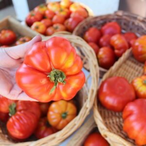 Tomate Antiguo N°3- Herencia: Limachino Antiguo Semilla Orgánica 15 un.