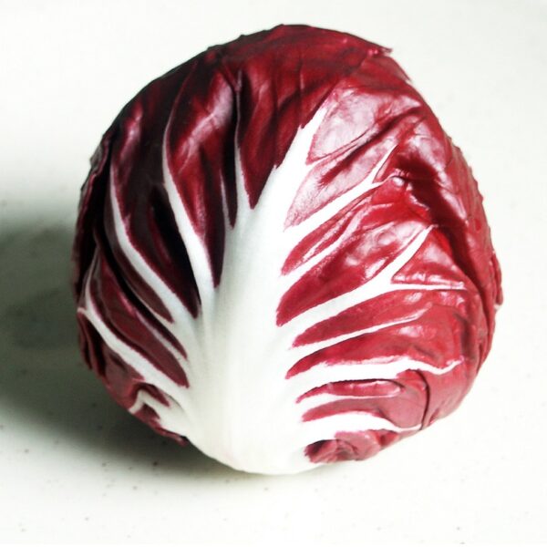 Semillas de Radicchio di Verona 1 gr